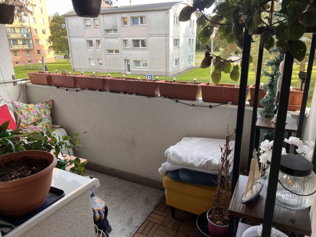 Obrázek k zakázce č.: 735261